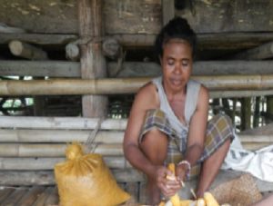 Shelling corn manually